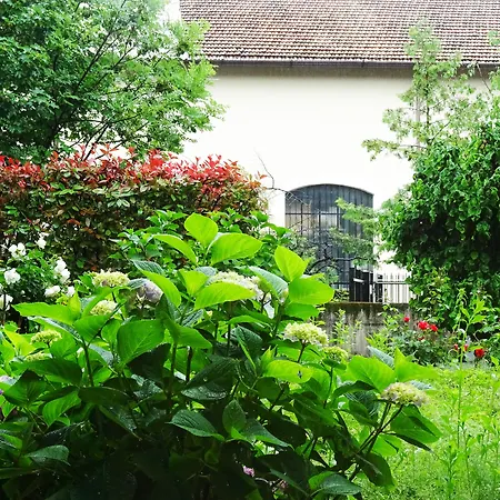 Victoria Royal Garden Appart hôtel Côme