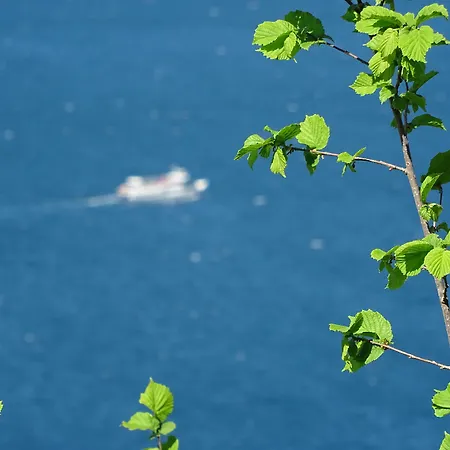 Victoria Royal Garden Aparthotel Como