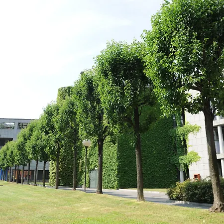 Victoria Royal Garden מלון דירות קומו