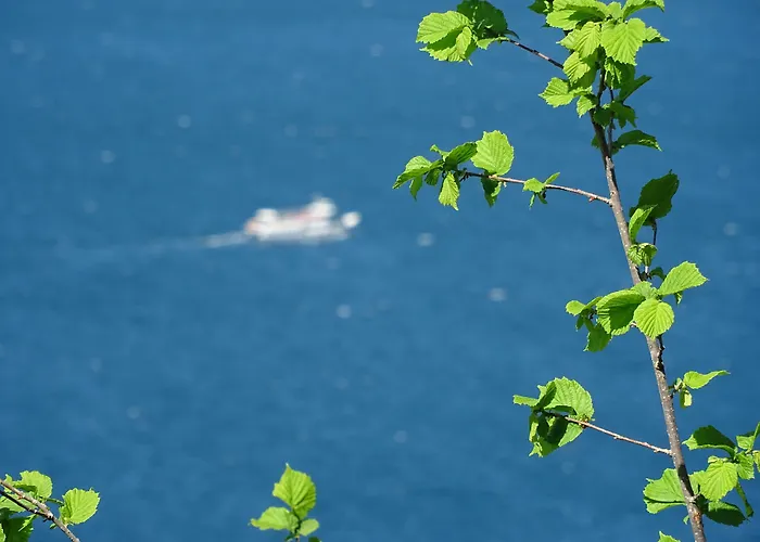 Victoria Royal Garden Апарт-отель Комо