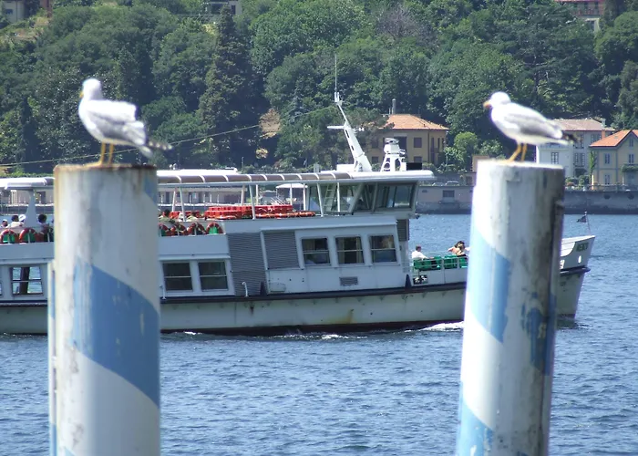 Victoria Royal Garden Апарт-отель